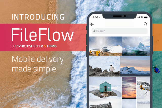 Introducing the FileFlow App: Search, Download and Share Photos Instantly