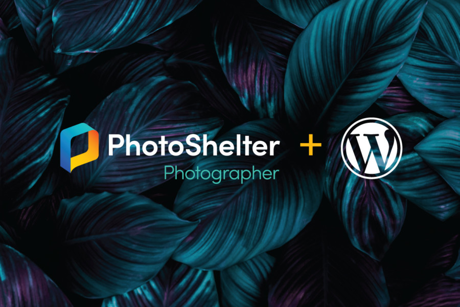 WordPress + PhotoShelter: Streamline Your Workflow