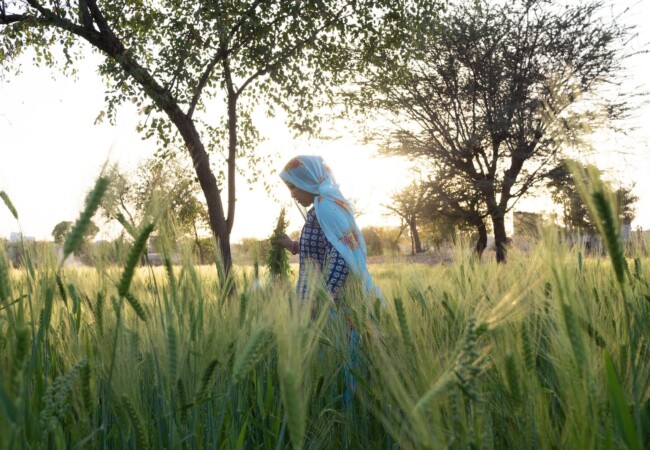 Ride Around the World with Award-Winning Photographer Jody MacDonald